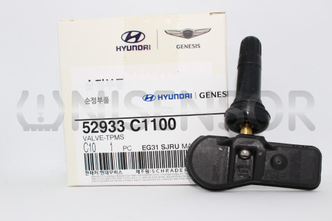 52933C1100